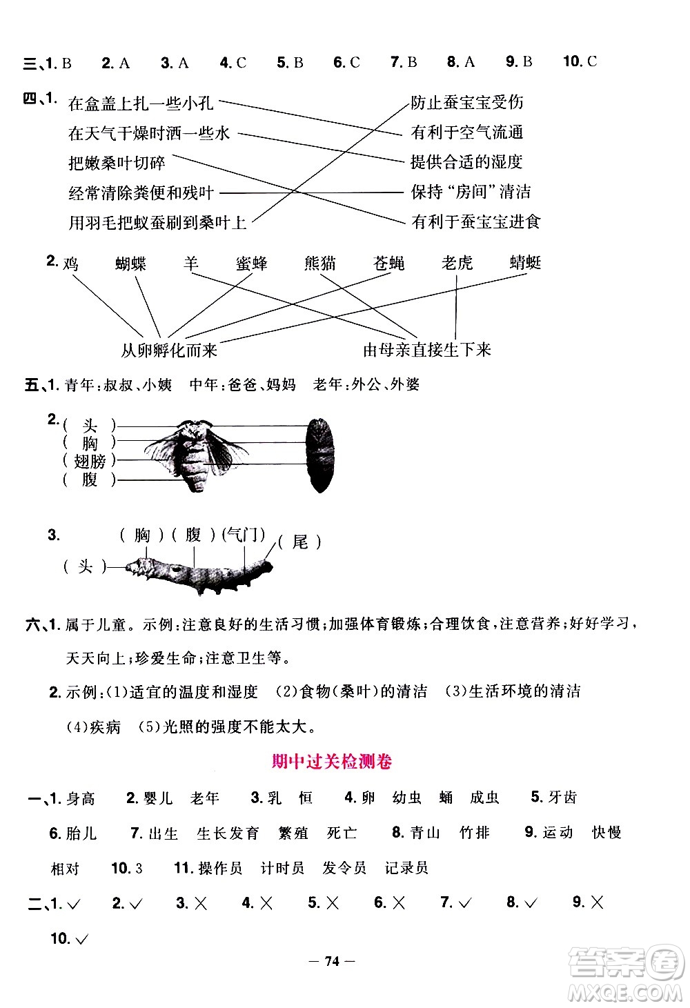 江西教育出版社2021陽光同學(xué)課時優(yōu)化作業(yè)科學(xué)三年級下冊JK教科版答案