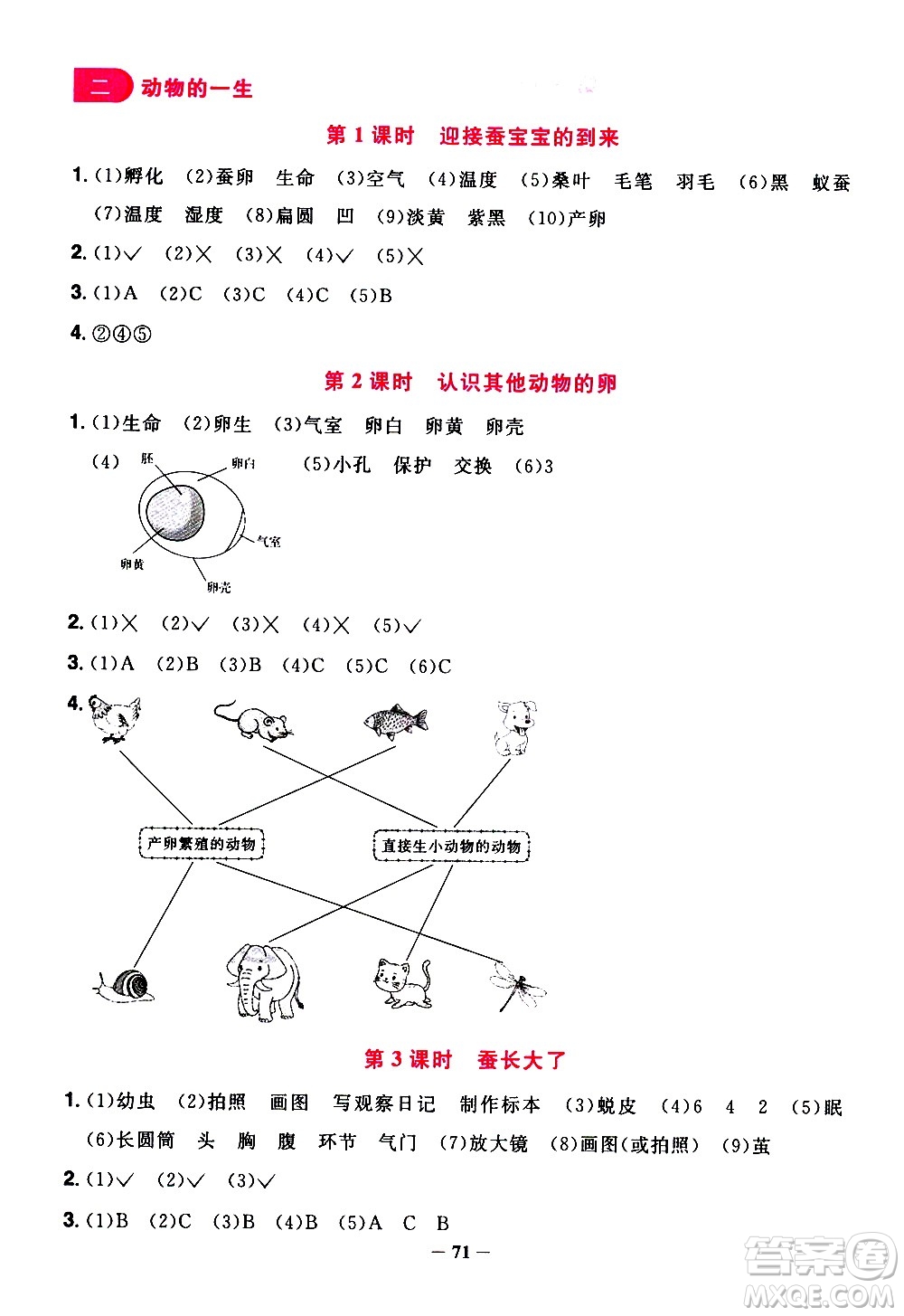 江西教育出版社2021陽光同學(xué)課時優(yōu)化作業(yè)科學(xué)三年級下冊JK教科版答案