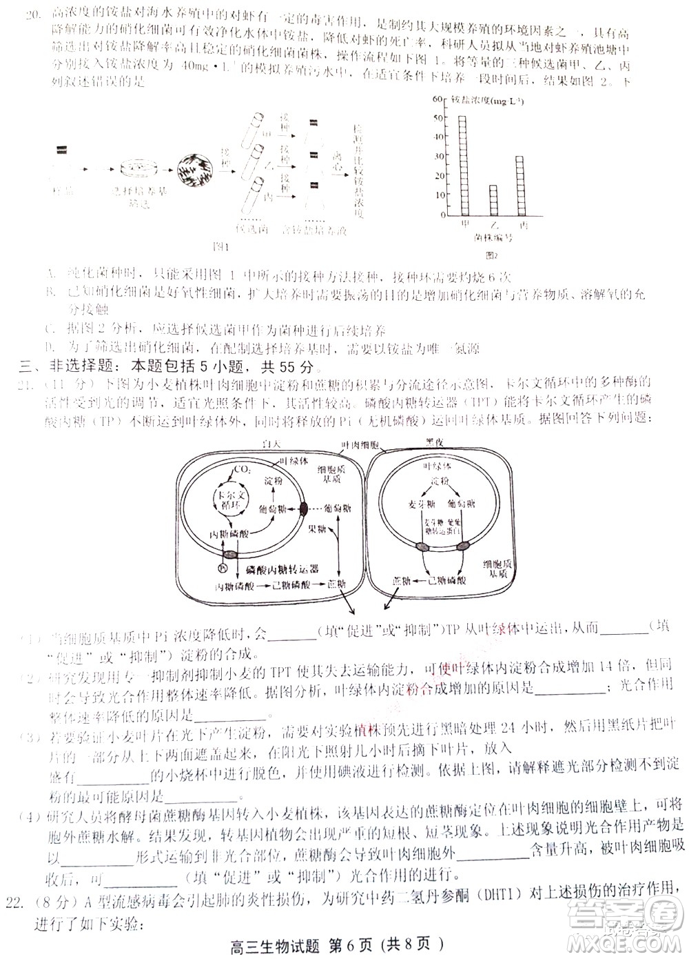 任興高中聯(lián)盟2021屆4月聯(lián)考高三生物試題及答案