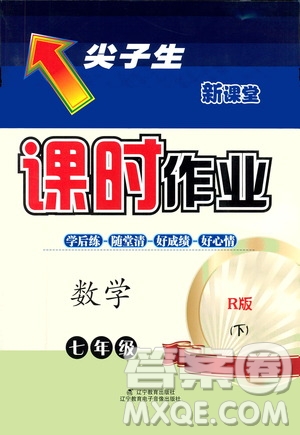 遼寧教育出版社2021尖子生新課堂課時(shí)作業(yè)七年級(jí)數(shù)學(xué)下冊(cè)人教版答案