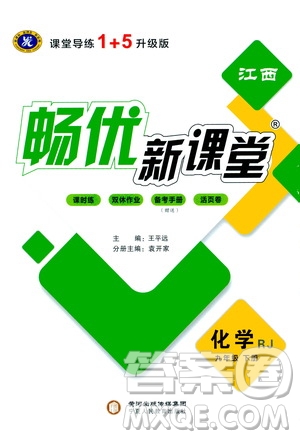 寧夏人民教育出版社2021暢優(yōu)新課堂九年級化學下冊人教版江西專版答案