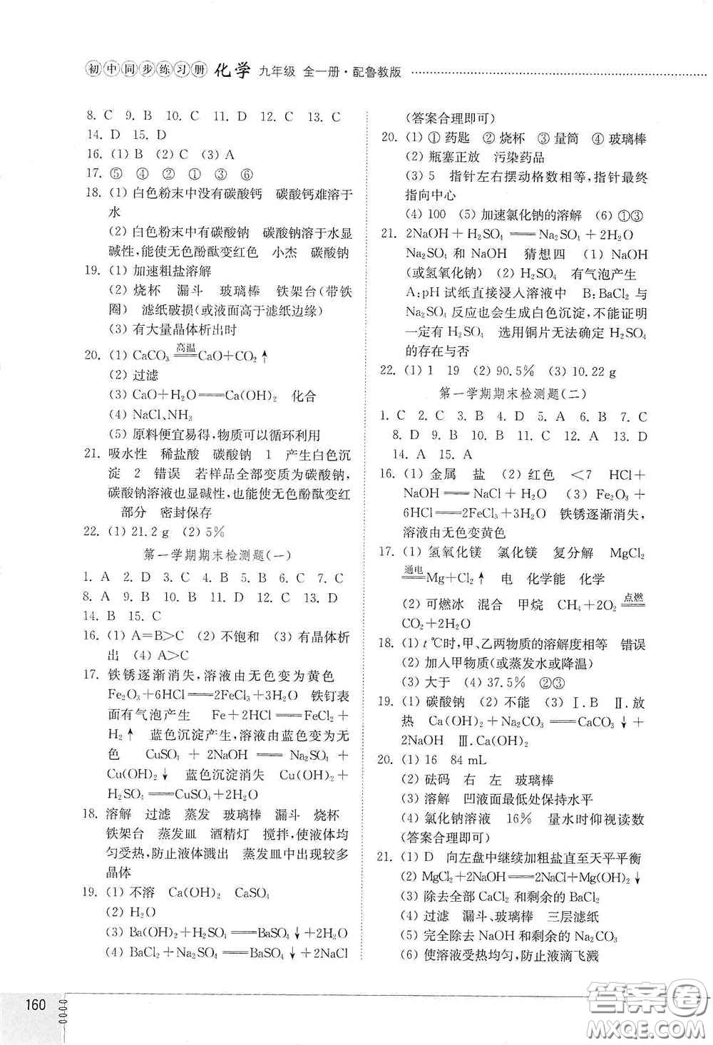 山東教育出版社2021初中同步練習(xí)冊九年級化學(xué)九年級全一冊魯教版五四學(xué)制答案