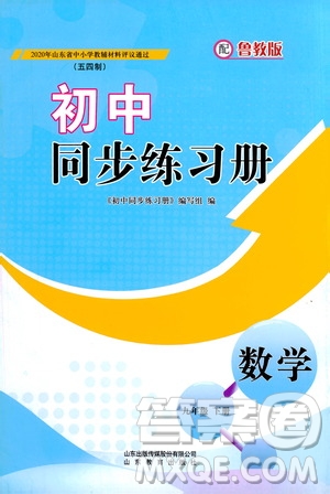 山東教育出版社2021初中同步練習(xí)冊九年級數(shù)學(xué)下冊魯教版五四學(xué)制答案