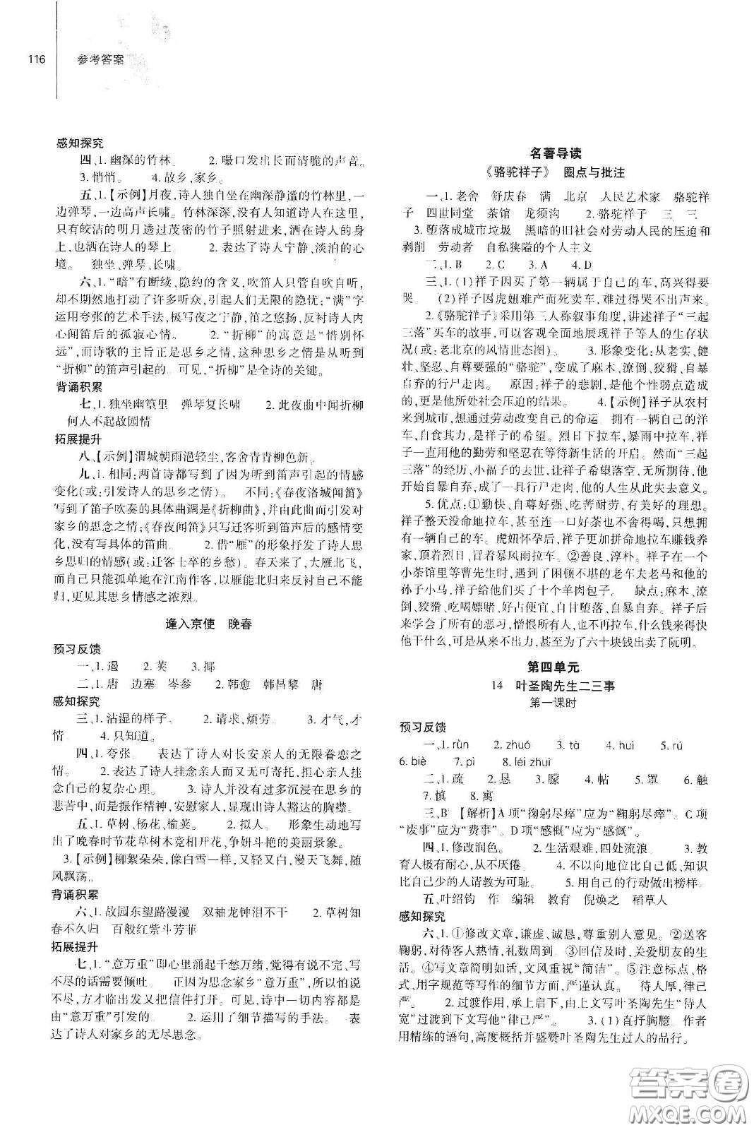 大象出版社2021初中同步練習(xí)冊(cè)七年級(jí)語(yǔ)文下冊(cè)人教版山東省內(nèi)答案