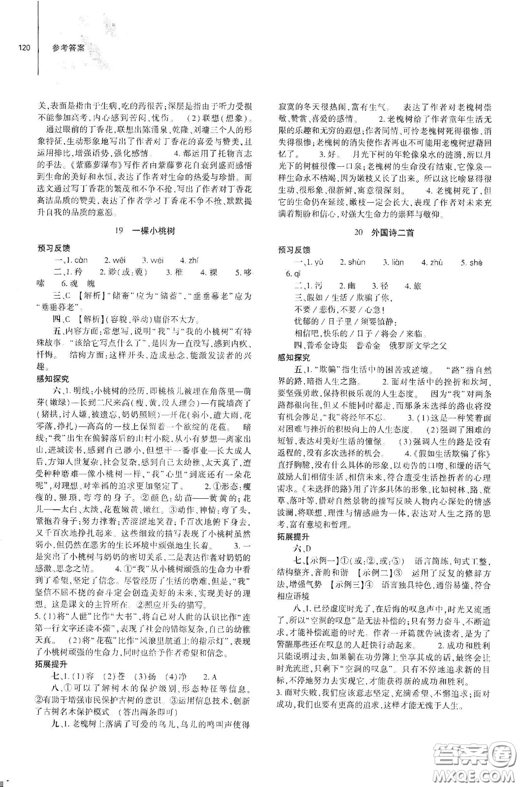 大象出版社2021初中同步練習(xí)冊(cè)七年級(jí)語(yǔ)文下冊(cè)人教版山東省內(nèi)答案