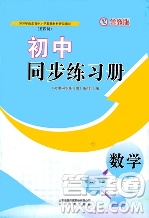 山東教育出版社2021初中同步練習冊七年級數(shù)學下冊魯教版五四學制答案