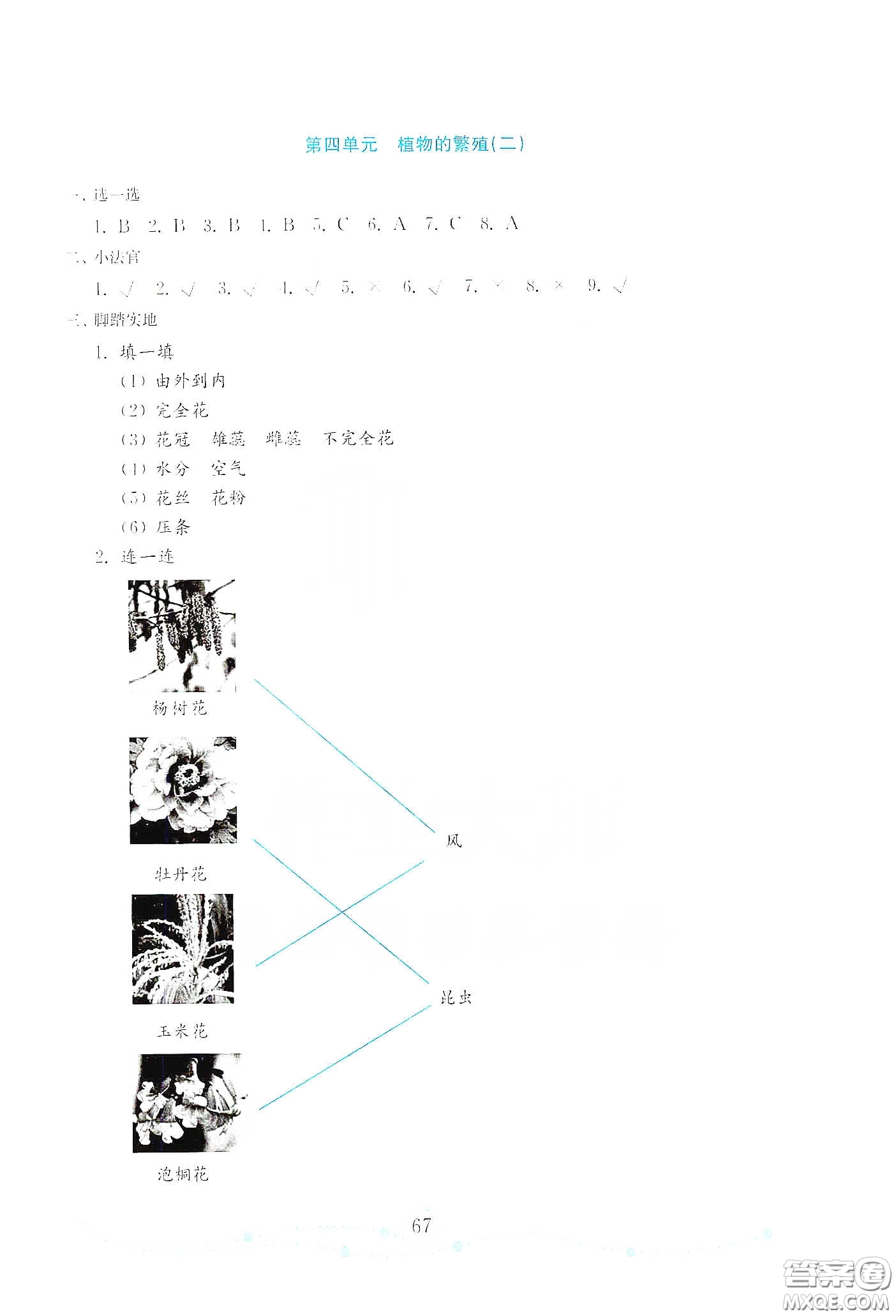 山東教育出版社2021金版小學科學試卷金鑰匙三年級下冊答案