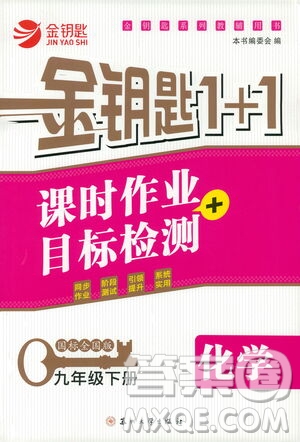 蘇州大學(xué)出版社2021金鑰匙1+1課時(shí)作業(yè)目標(biāo)檢測九年級化學(xué)下冊國標(biāo)全國版答案