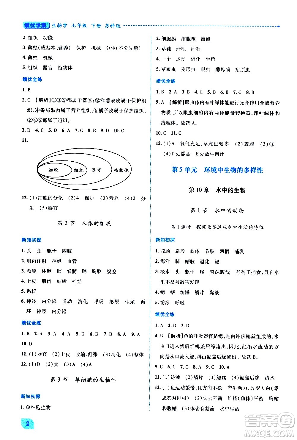 陜西師范大學(xué)出版總社有限公司2021績(jī)優(yōu)學(xué)案生物七年級(jí)下冊(cè)蘇科版答案