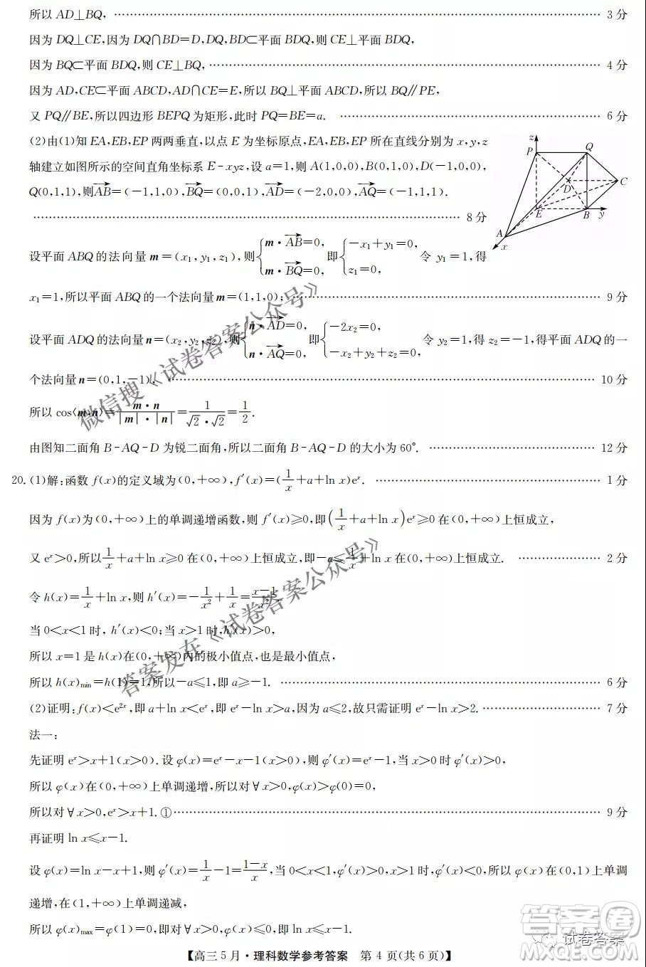 2021年九師聯(lián)盟高三5月考試理科數(shù)學試題及答案