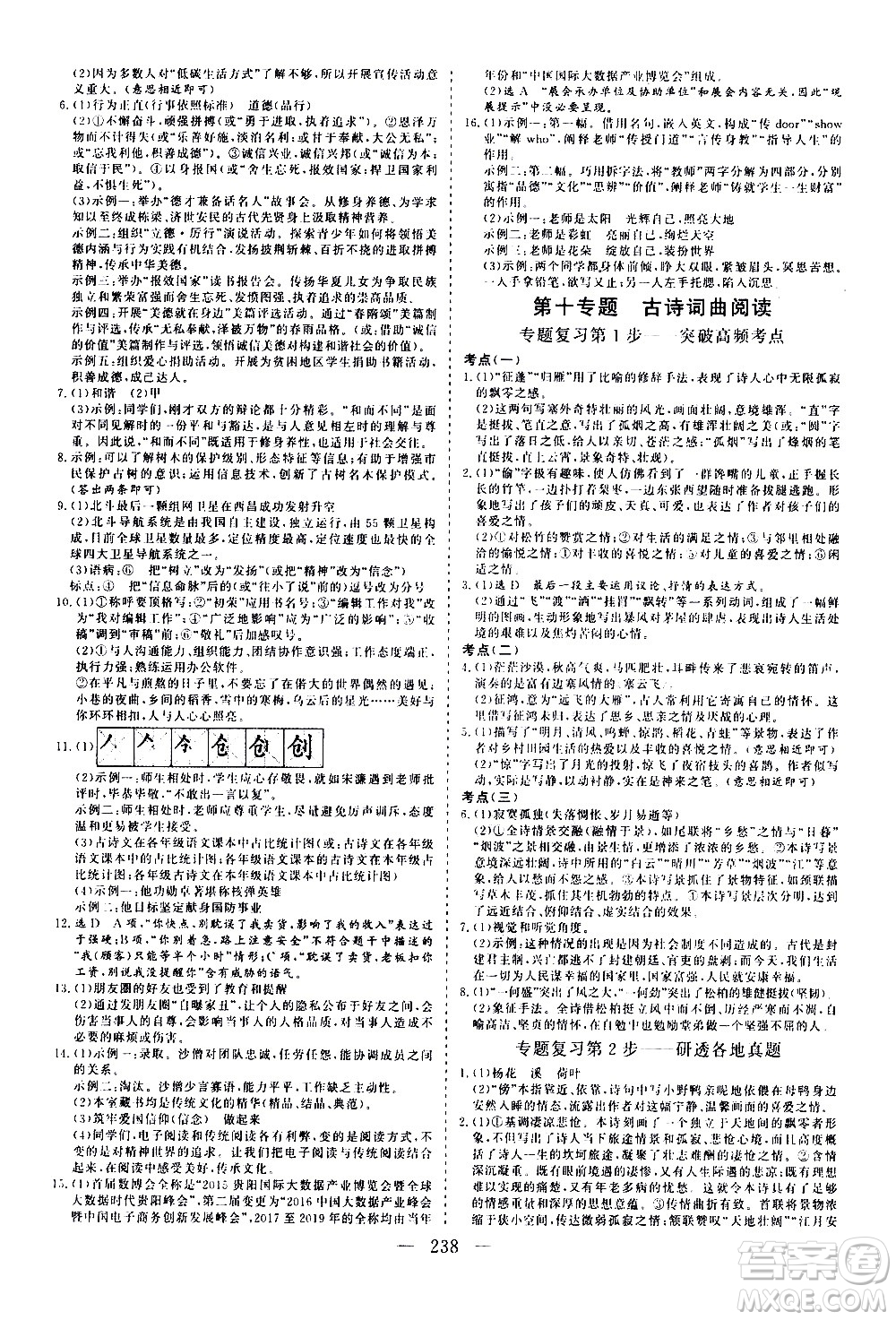 山東美術(shù)出版社2021新中考集訓(xùn)中考總復(fù)習(xí)語(yǔ)文九年級(jí)通用版答案