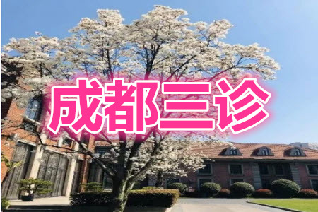 成都市2018級(jí)高中畢業(yè)班第三次診斷性檢測(cè)語(yǔ)文試題及答案