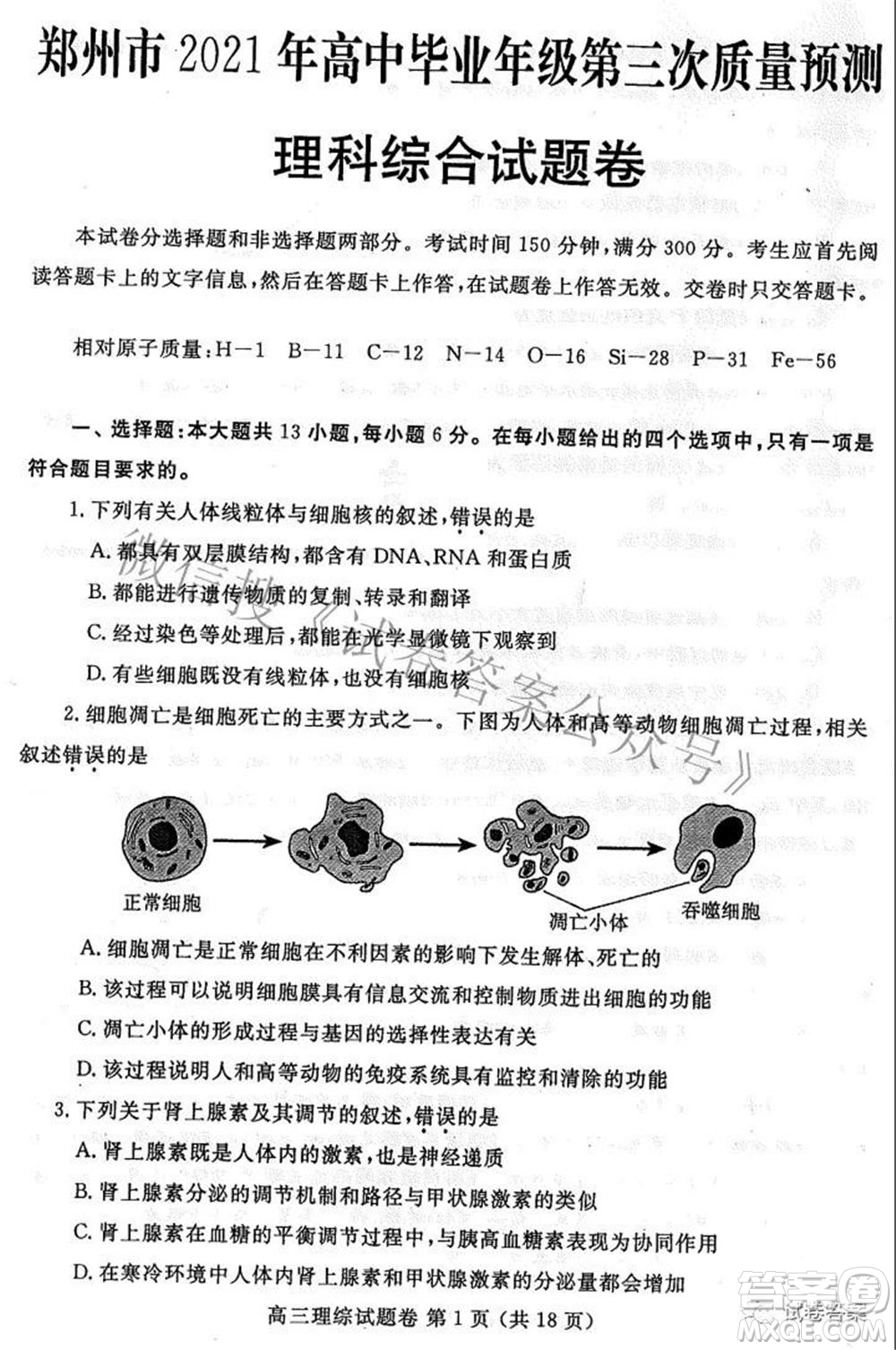 鄭州市2021年高中畢業(yè)年級(jí)第三次質(zhì)量預(yù)測(cè)理科綜合試題及答案