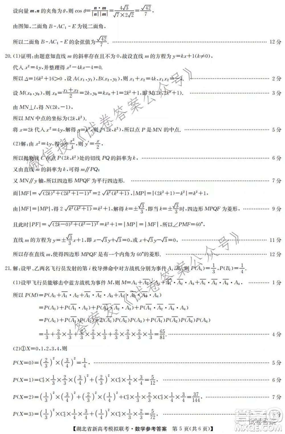 2020-2021學年湖北省新高考模擬聯(lián)考數(shù)學試題及答案