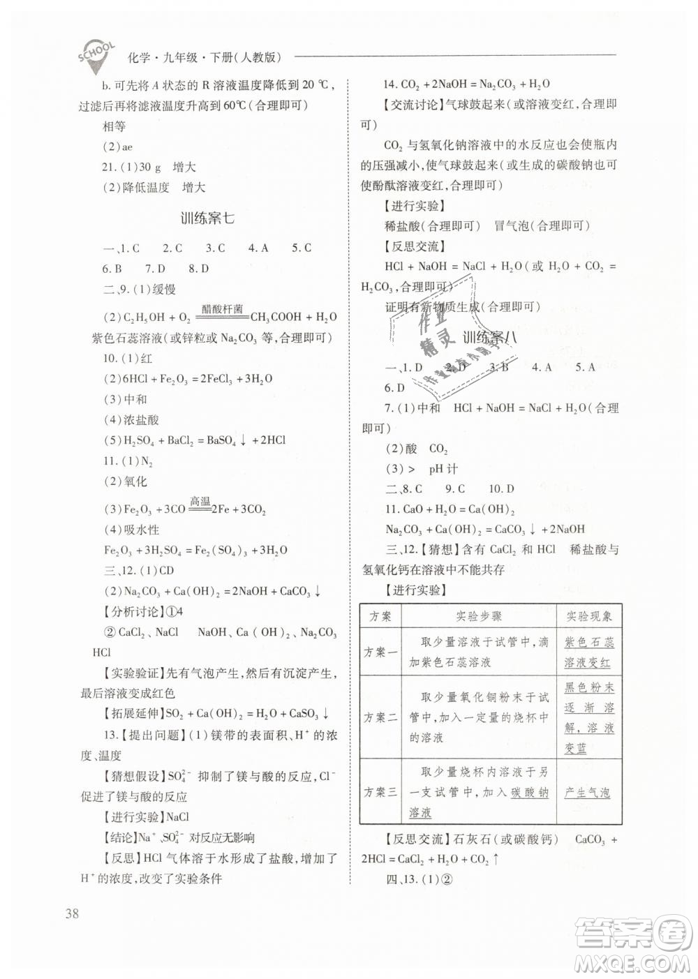 山西教育出版社2021新課程問(wèn)題解決導(dǎo)學(xué)方案化學(xué)九年級(jí)下冊(cè)人教版答案