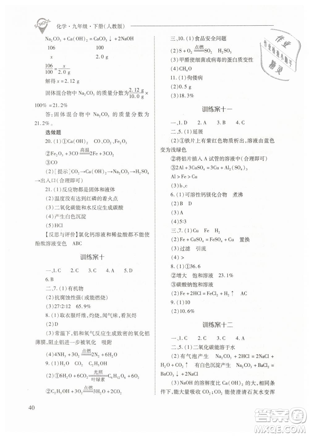 山西教育出版社2021新課程問(wèn)題解決導(dǎo)學(xué)方案化學(xué)九年級(jí)下冊(cè)人教版答案