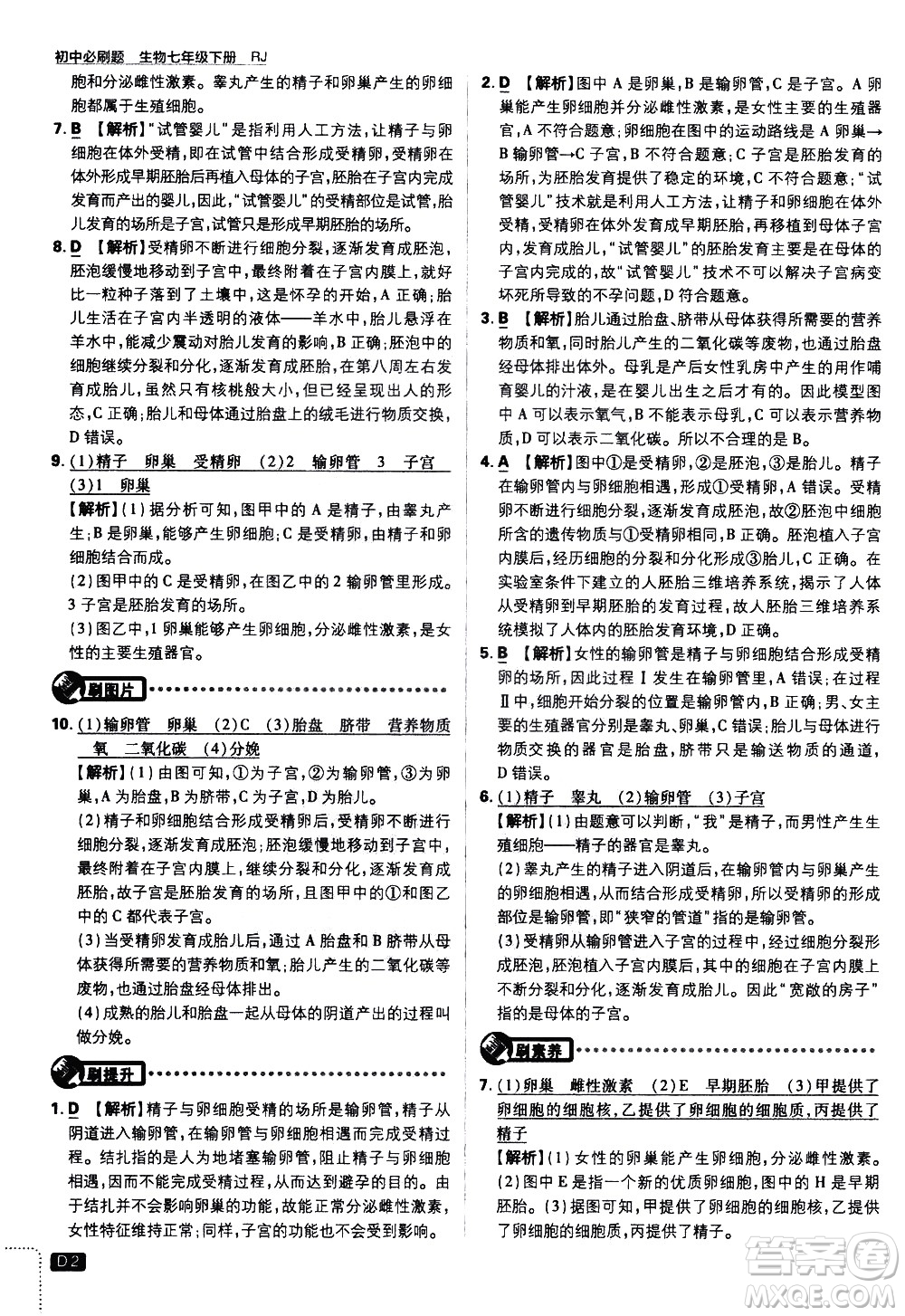 開明出版社2021版初中必刷題生物七年級下冊RJ人教版答案