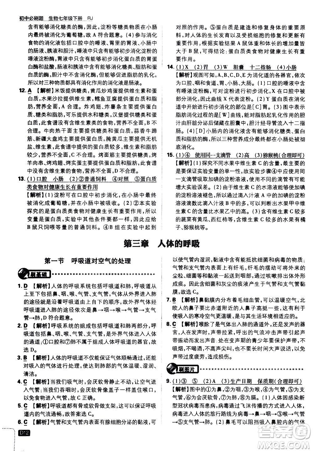 開明出版社2021版初中必刷題生物七年級下冊RJ人教版答案