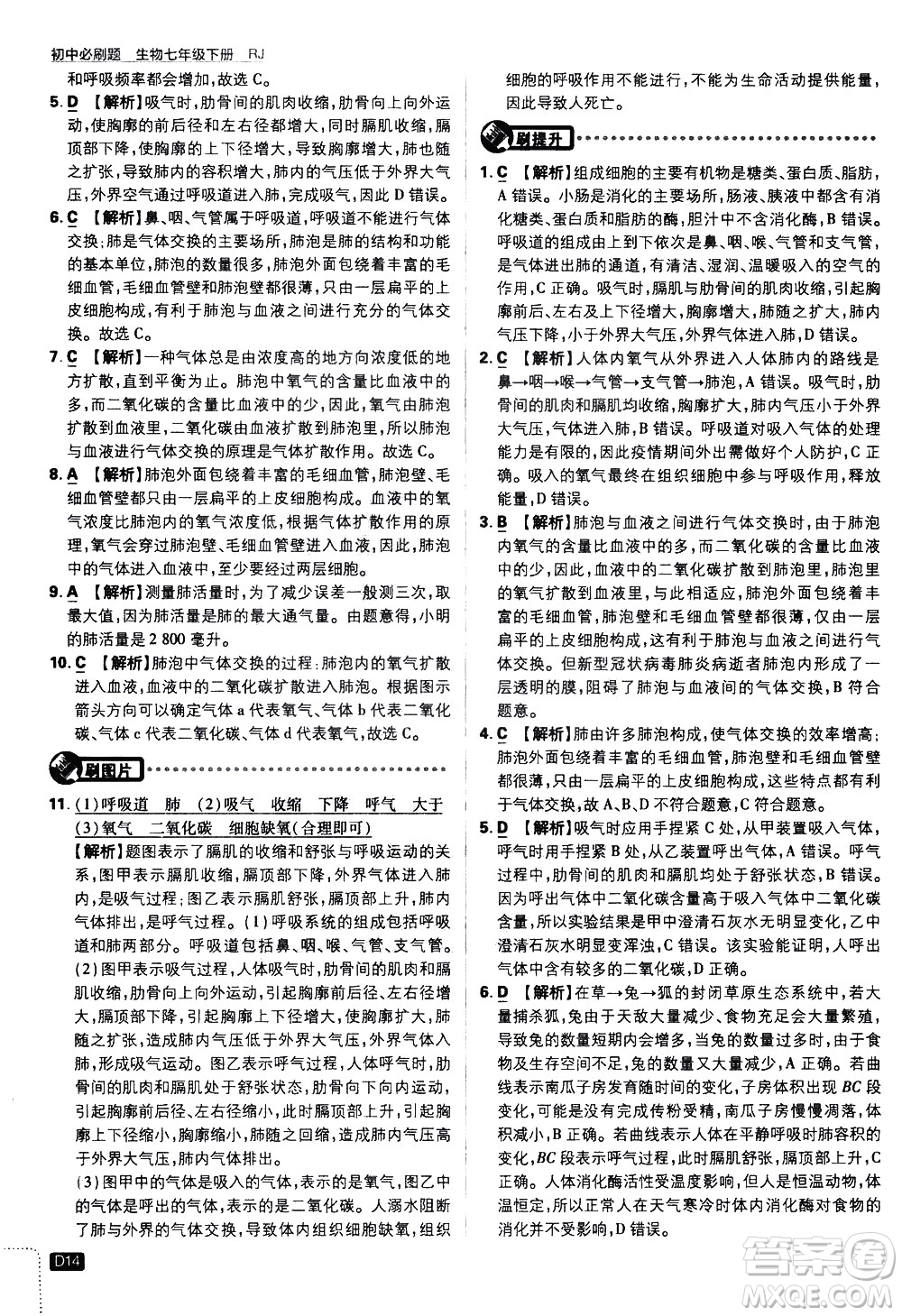 開明出版社2021版初中必刷題生物七年級下冊RJ人教版答案