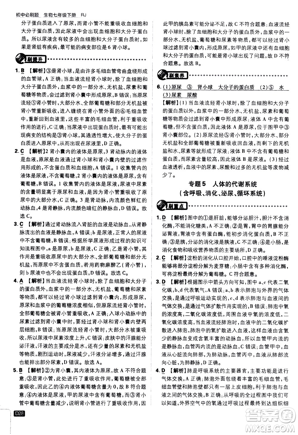 開明出版社2021版初中必刷題生物七年級下冊RJ人教版答案