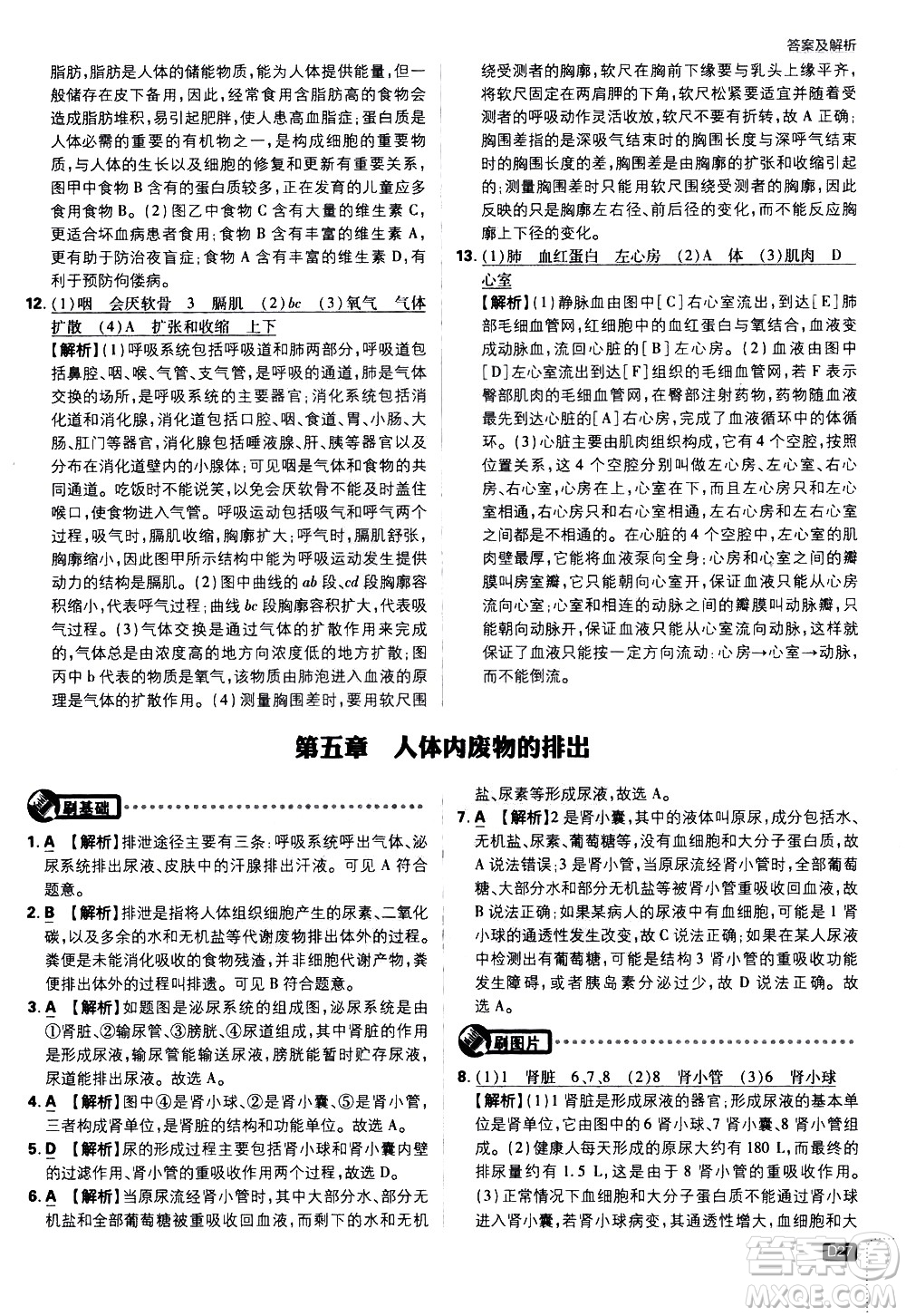 開明出版社2021版初中必刷題生物七年級下冊RJ人教版答案