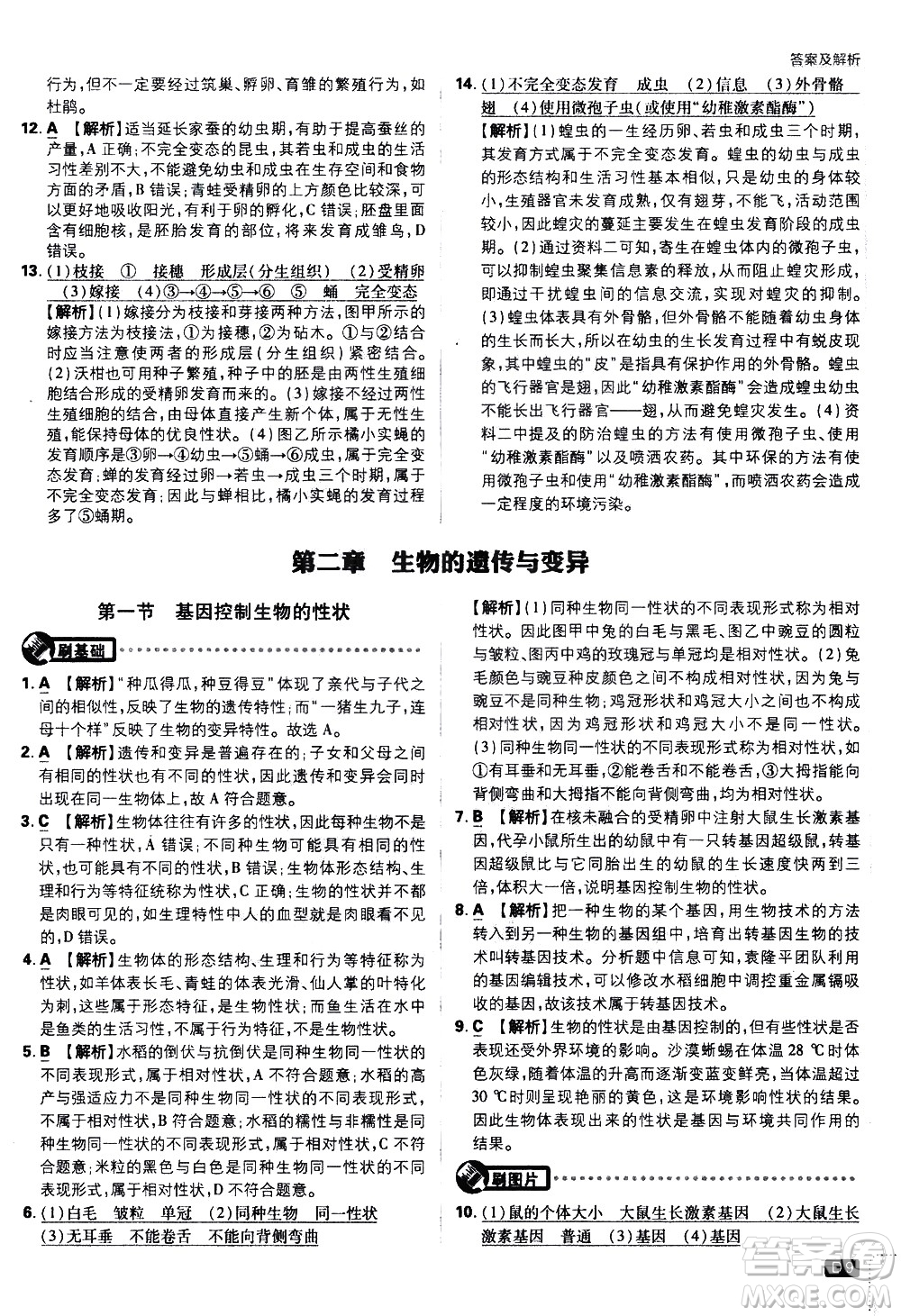 開明出版社2021版初中必刷題生物八年級(jí)下冊(cè)RJ人教版答案