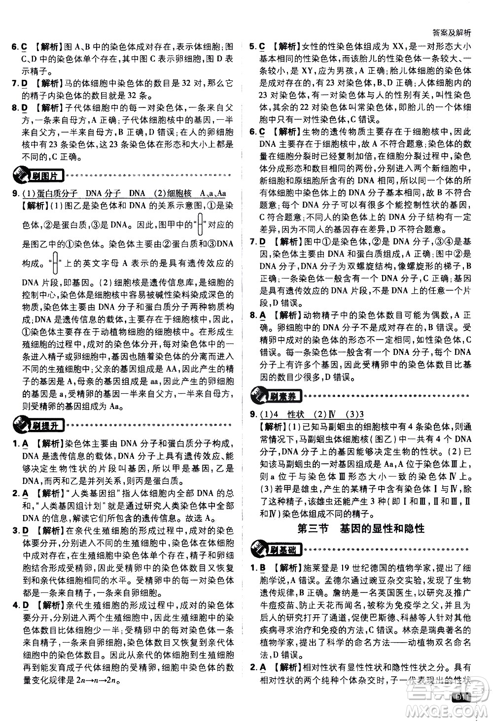 開明出版社2021版初中必刷題生物八年級(jí)下冊(cè)RJ人教版答案