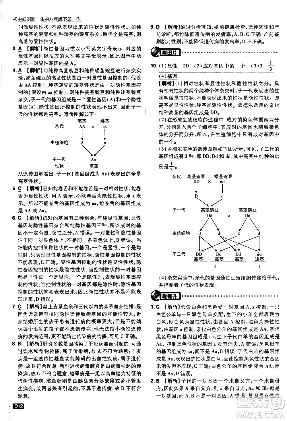 開明出版社2021版初中必刷題生物八年級(jí)下冊(cè)RJ人教版答案