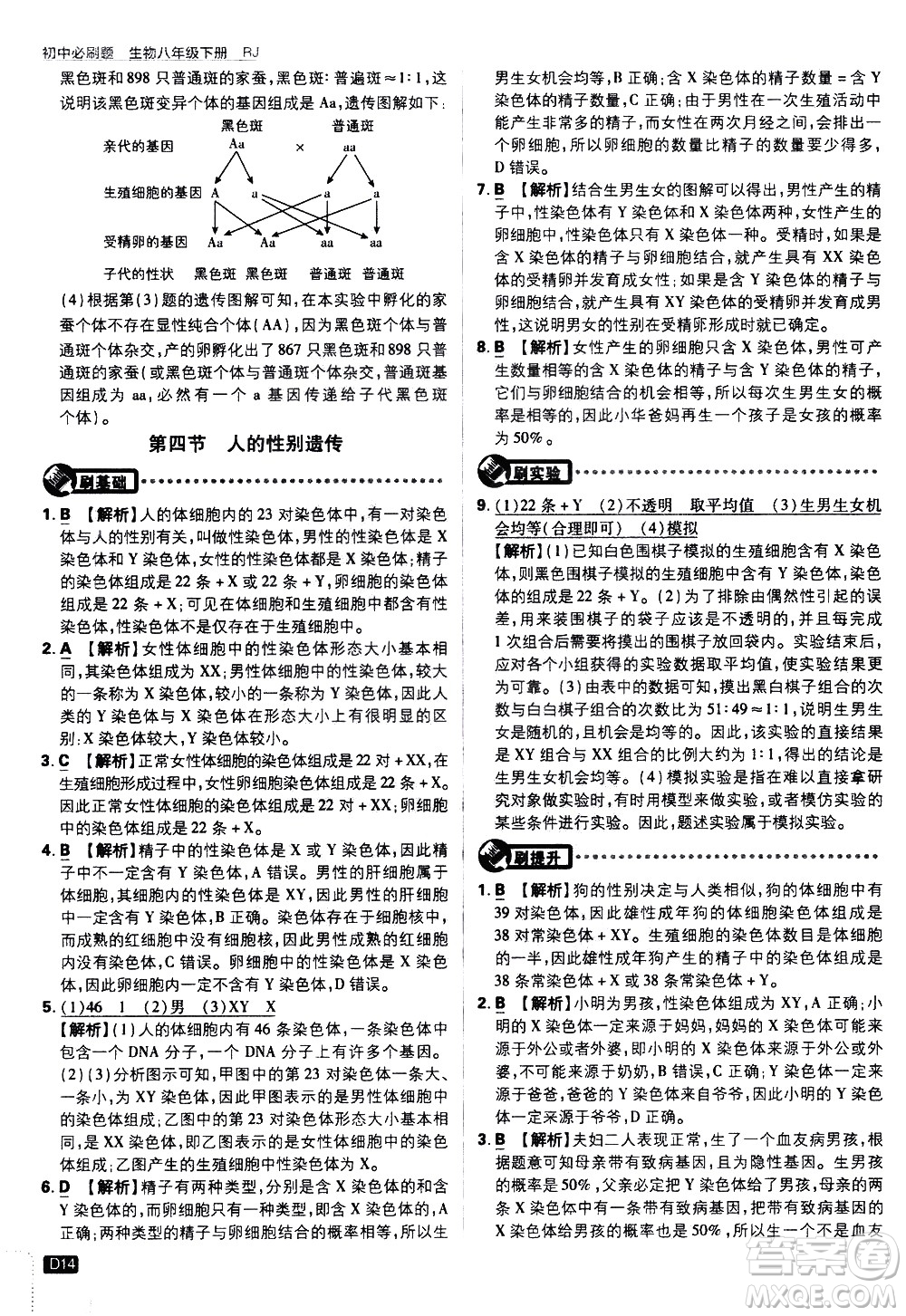 開明出版社2021版初中必刷題生物八年級(jí)下冊(cè)RJ人教版答案