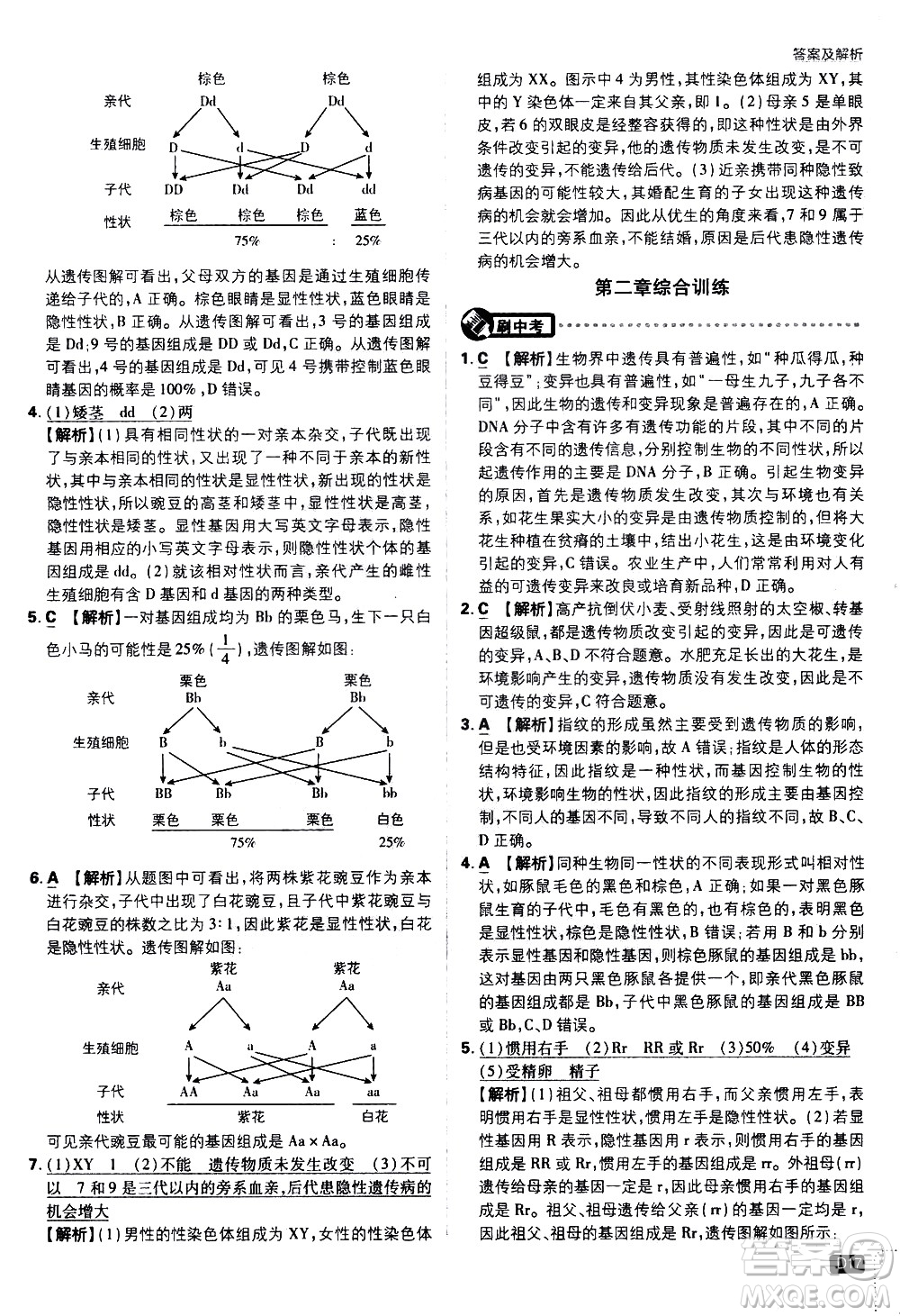 開明出版社2021版初中必刷題生物八年級(jí)下冊(cè)RJ人教版答案