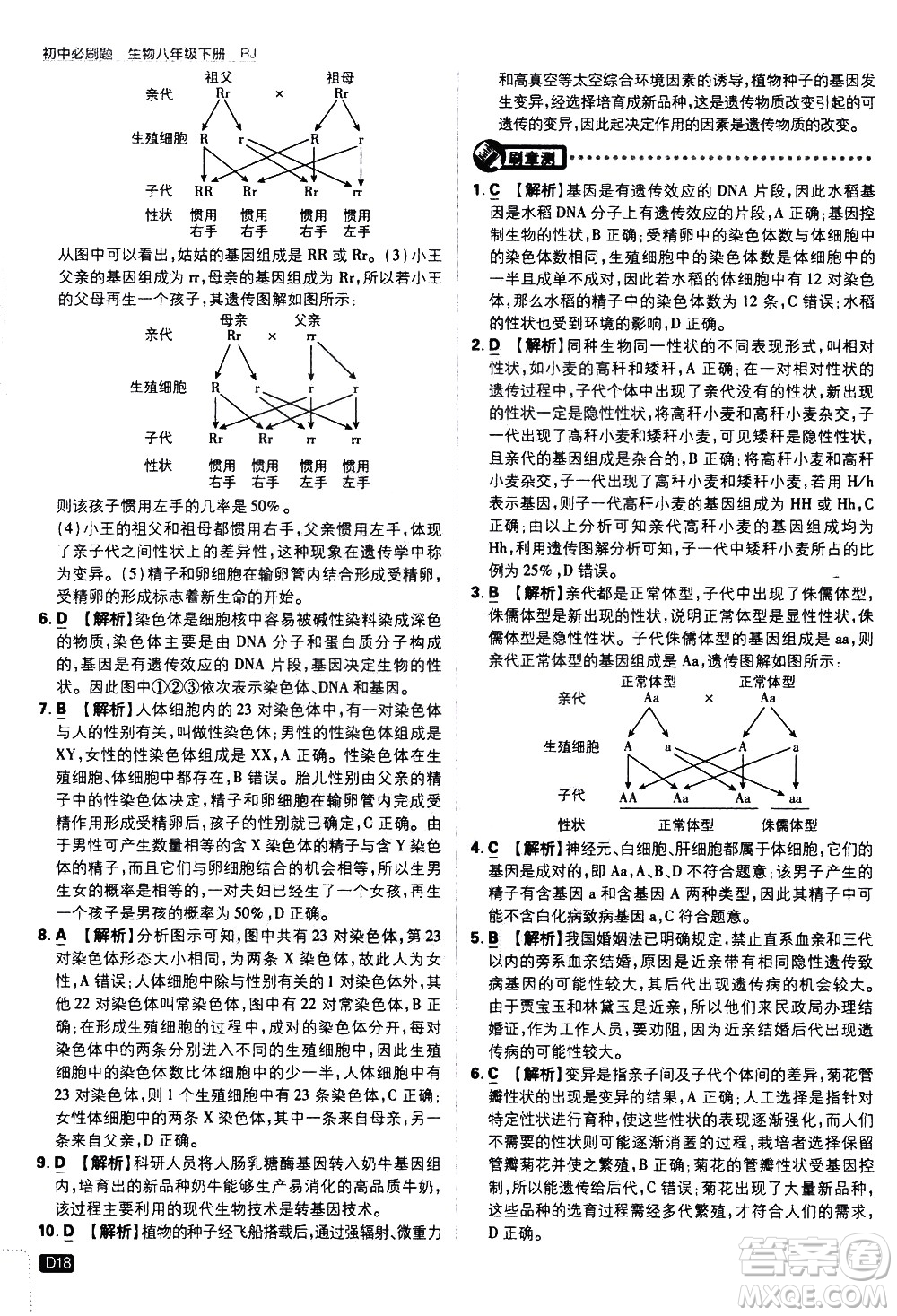 開明出版社2021版初中必刷題生物八年級(jí)下冊(cè)RJ人教版答案