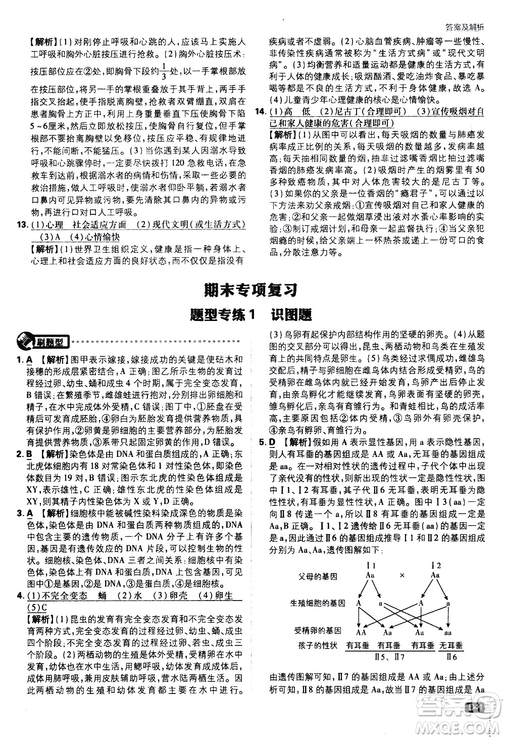 開明出版社2021版初中必刷題生物八年級(jí)下冊(cè)RJ人教版答案