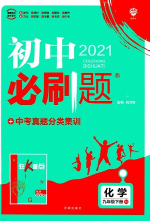 開明出版社2021版初中必刷題化學九年級下冊RJ人教版答案