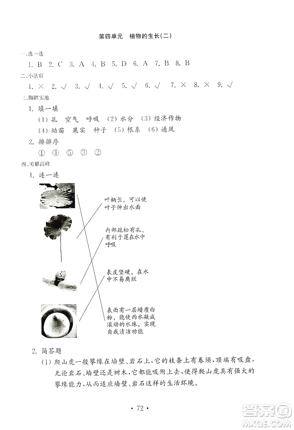 山東教育出版社2021年小學(xué)科學(xué)金鑰匙試卷四年級(jí)下冊(cè)青島版答案