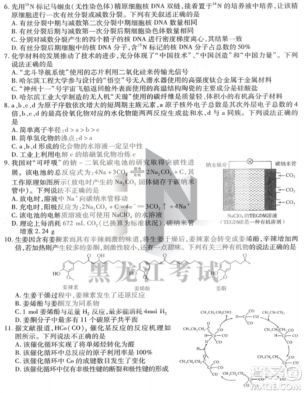 東北三省三校2021年高三第四次聯(lián)合模擬考試?yán)砜凭C合試題及答案