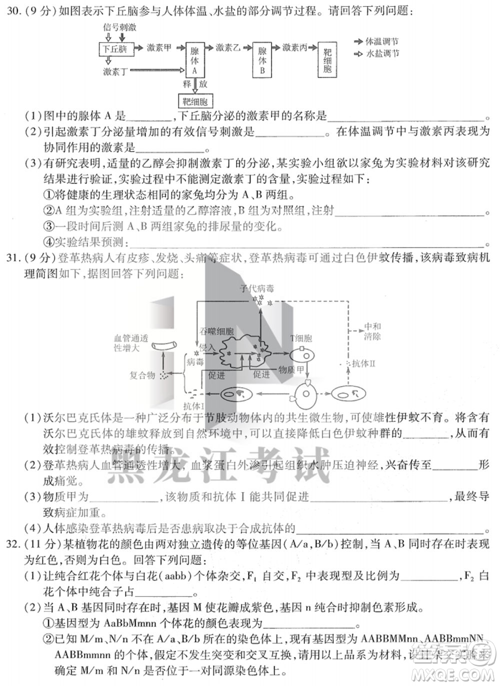 東北三省三校2021年高三第四次聯(lián)合模擬考試?yán)砜凭C合試題及答案