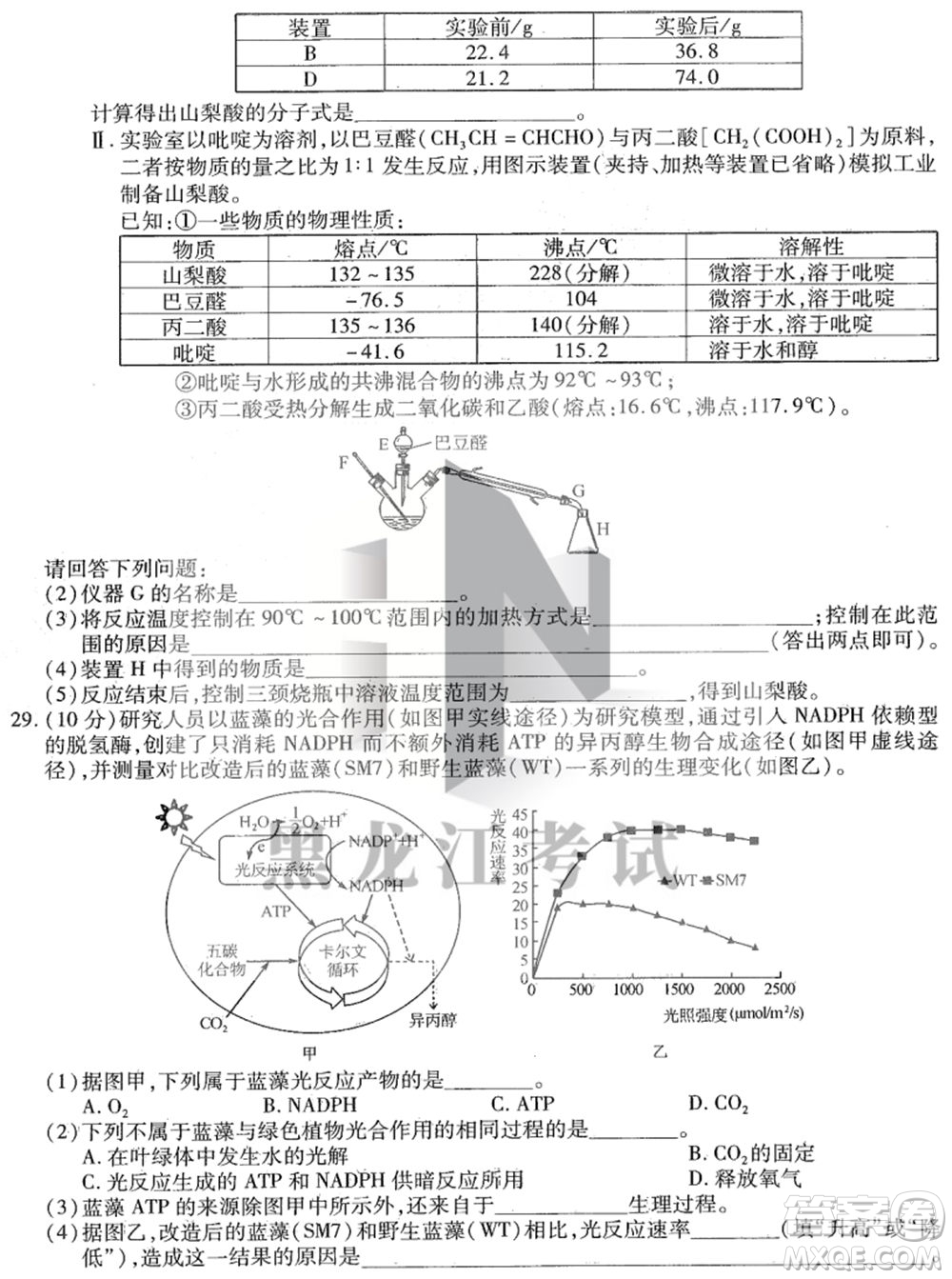 東北三省三校2021年高三第四次聯(lián)合模擬考試?yán)砜凭C合試題及答案