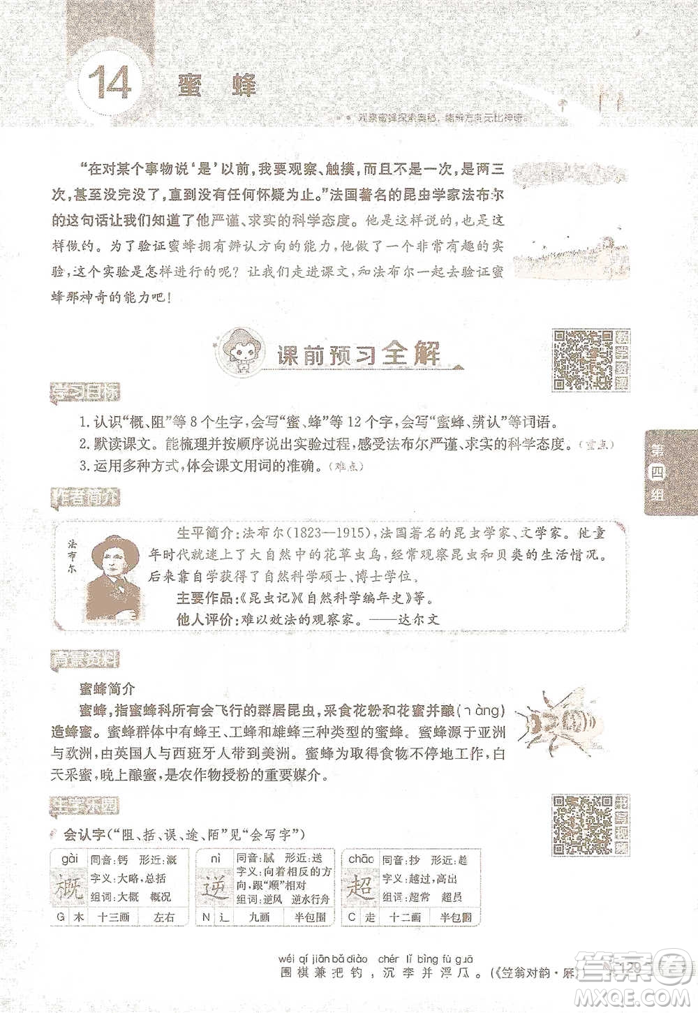 陜西人民教育出版社2021小學(xué)教材全解三年級(jí)語(yǔ)文下冊(cè)人教版參考答案