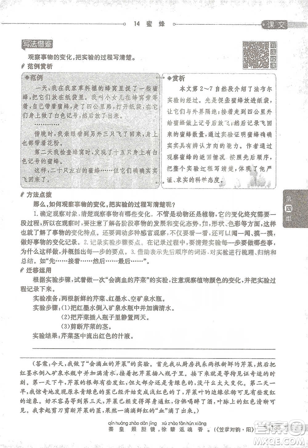 陜西人民教育出版社2021小學(xué)教材全解三年級(jí)語(yǔ)文下冊(cè)人教版參考答案