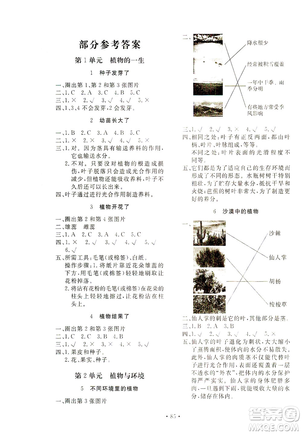 北京教育出版社2021新課堂同步訓(xùn)練科學(xué)三年級下冊江蘇版答案