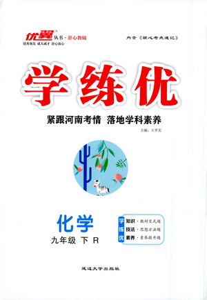 延邊大學(xué)出版社2021學(xué)練優(yōu)化學(xué)九年級(jí)下冊(cè)人教版河南專版答案