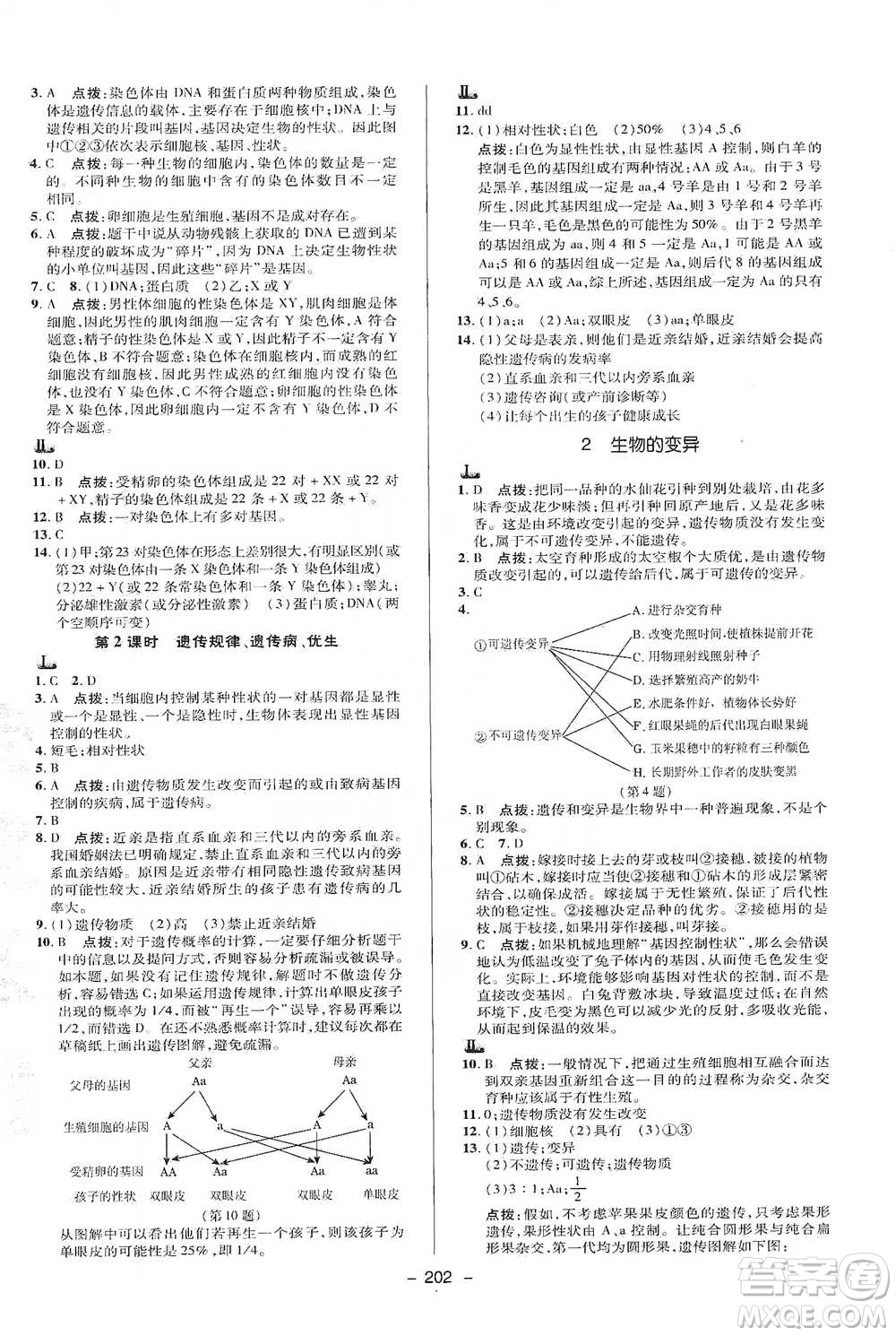 陜西人民教育出版社2021典中點九年級全一冊科學華師版參考答案