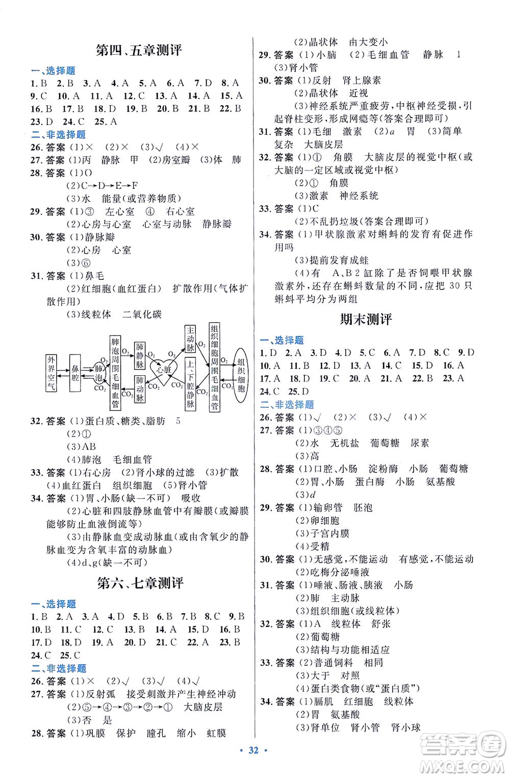 人民教育出版社2021初中同步測(cè)控優(yōu)化設(shè)計(jì)七年級(jí)生物下冊(cè)人教版福建專(zhuān)版答案