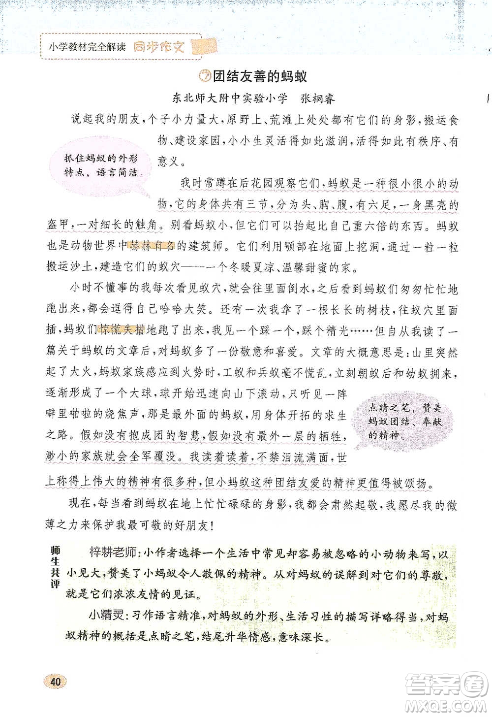 吉林人民出版社2021小學教材完全解讀同步作文四年級下冊語文參考答案