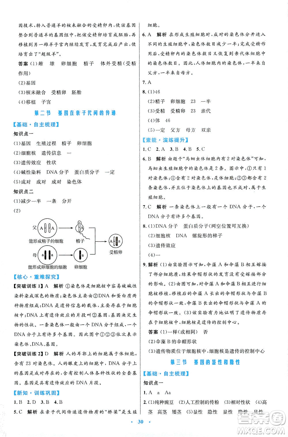 內蒙古教育出版社2021學習目標與檢測八年級生物下冊人教版答案