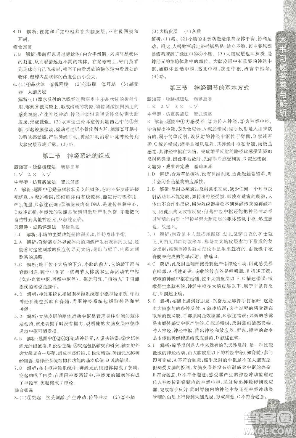 開明出版社2021倍速學習法七年級生物學下冊人教版參考答案