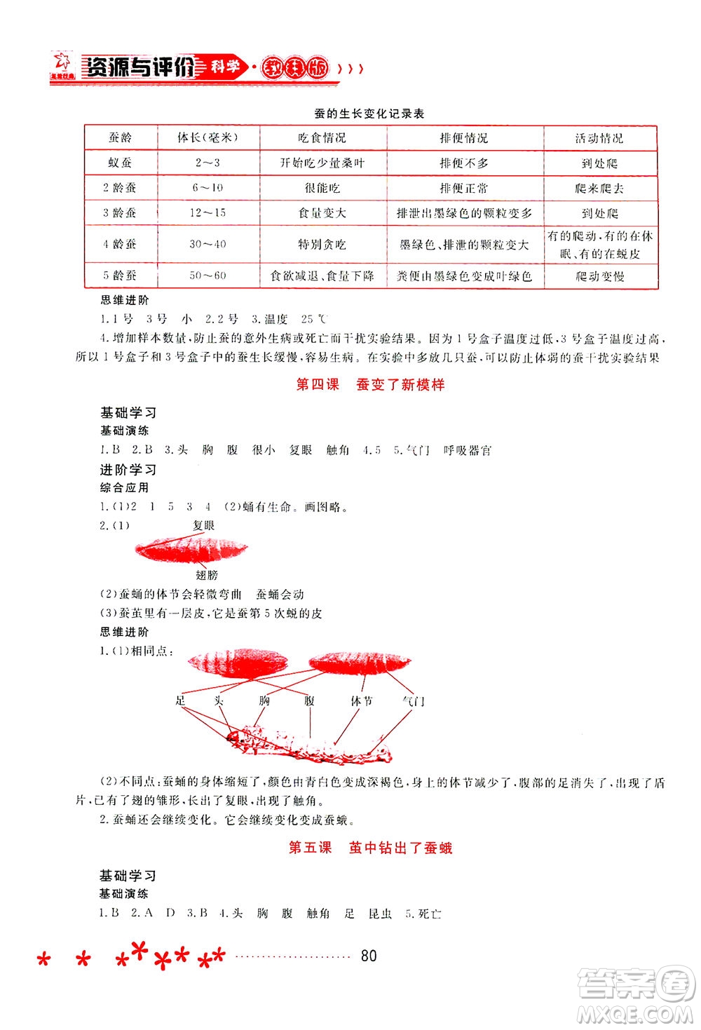 黑龍江教育出版社2021資源與評價三年級科學下冊教科版答案