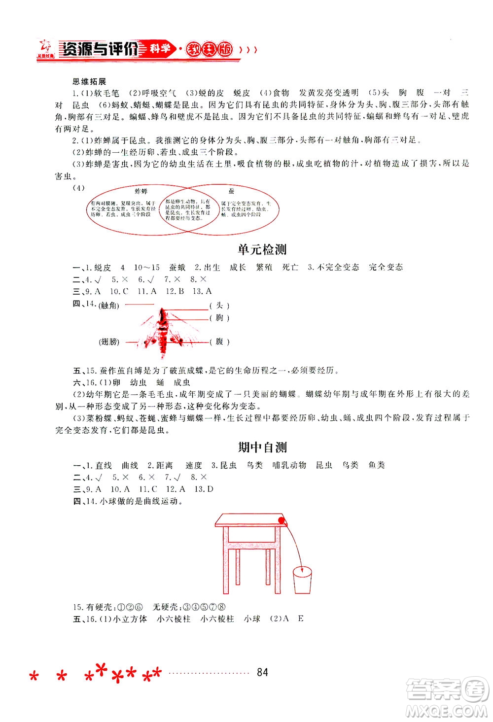 黑龍江教育出版社2021資源與評價三年級科學下冊教科版答案