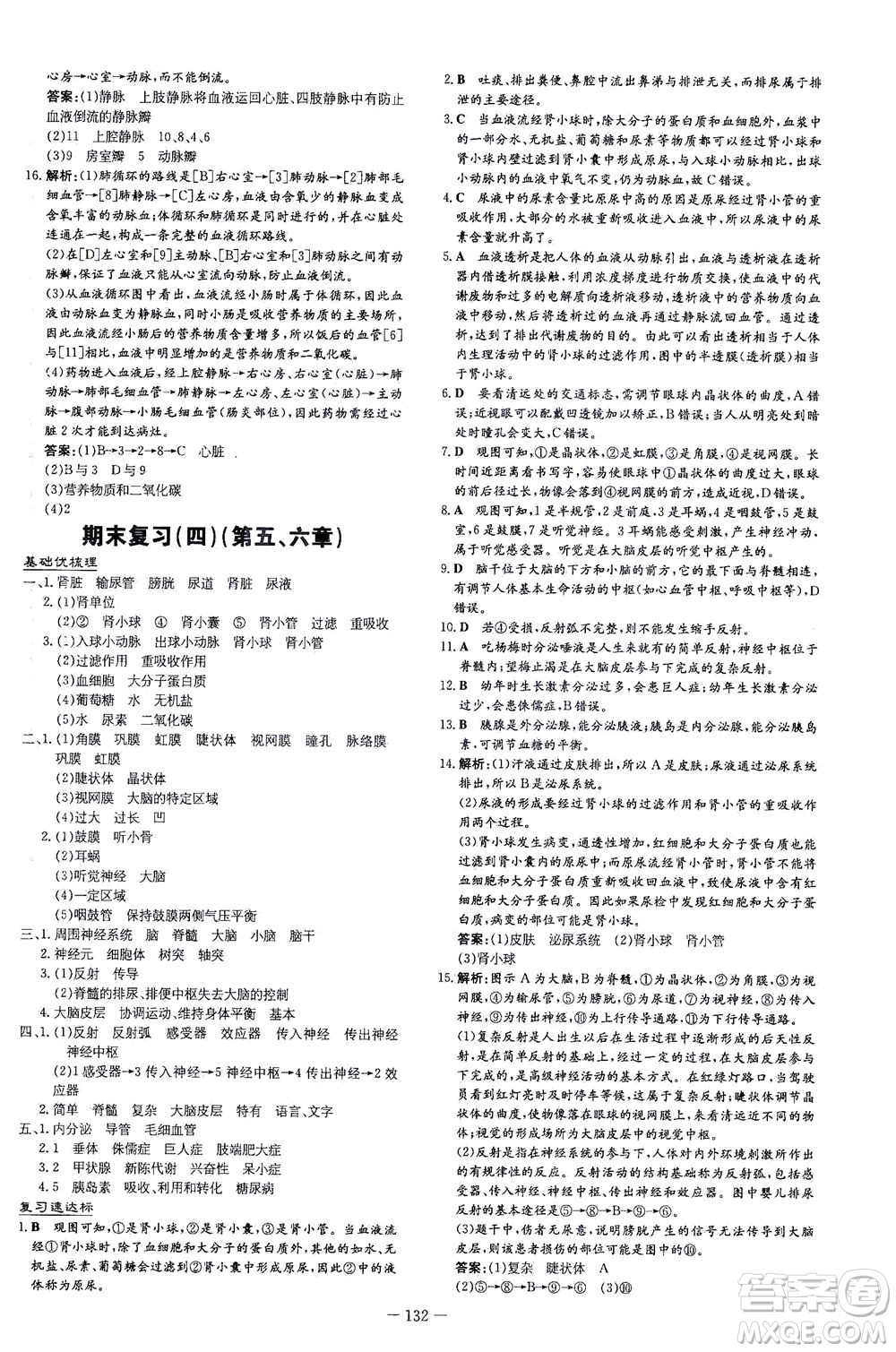 新世紀(jì)出版社2021練案課時作業(yè)本生物七年級下冊人教版答案