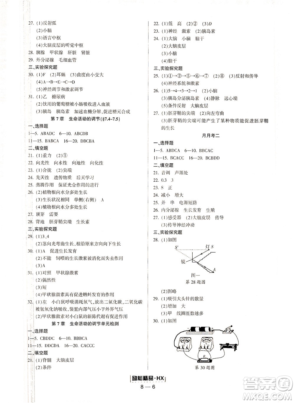 延邊人民出版社2021勵耘活頁七年級科學(xué)下冊華師大版答案